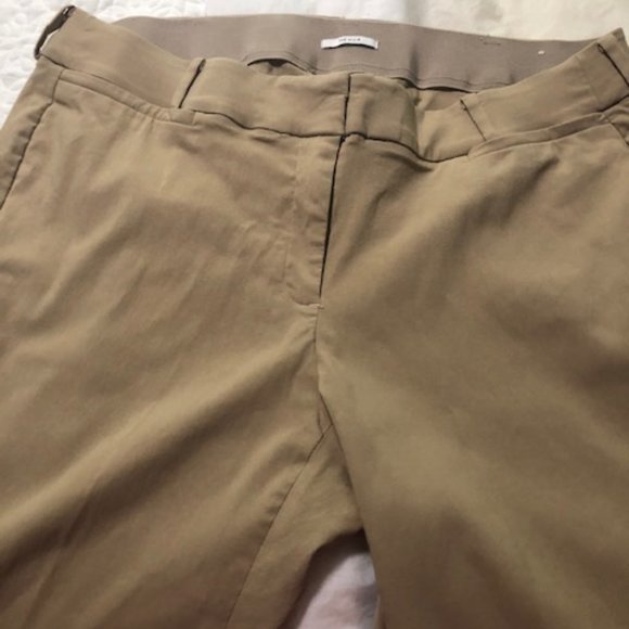Lane Bryant Pants - Lane Bryant Allie Pants